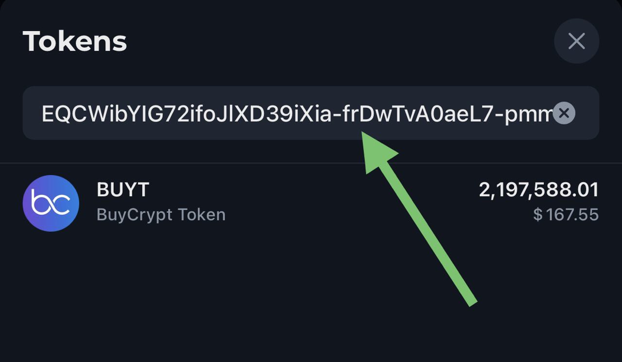 Paste the contract address